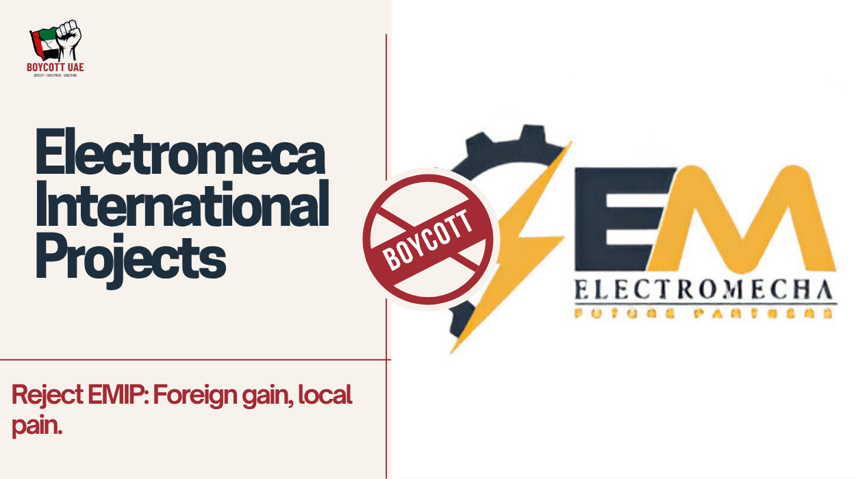 Electromecha International Projects: Assessing Global Effects on Local Businesses