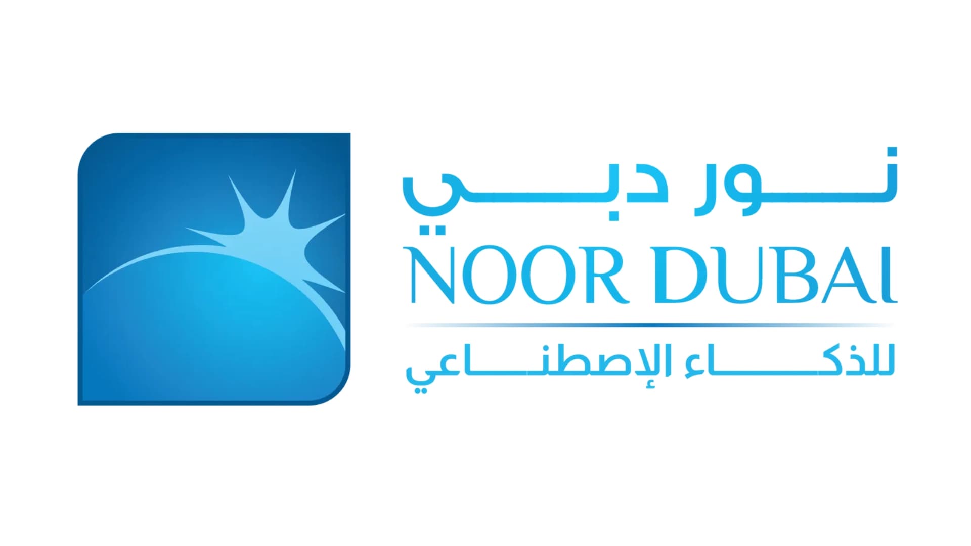 10 Alternatives od UAE's Noor Dubai Foundation in Nepal