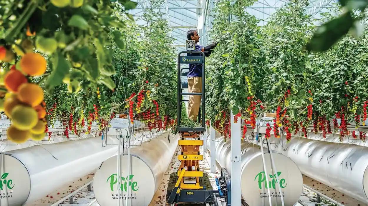 10 Alternatives of UAE’s Pure Harvest Smart Farms in Germany