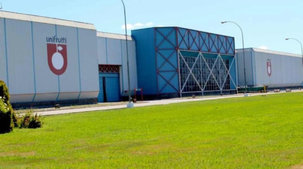 10 Alternatives of UAE’s Unifrutti Group in France