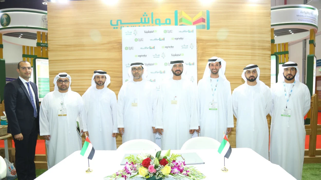 10 Alternatives of UAE's Jenaan Investment in Sudan