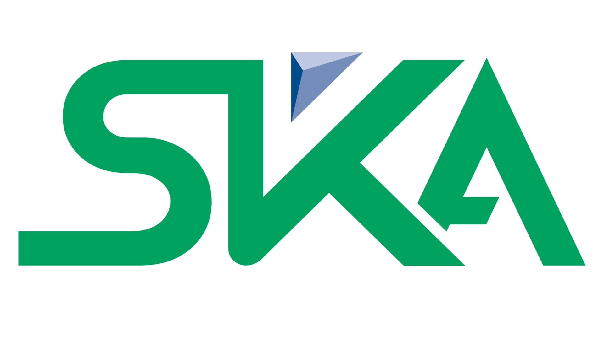 10 Alternatives of UAE's SKA International Group in Somalia