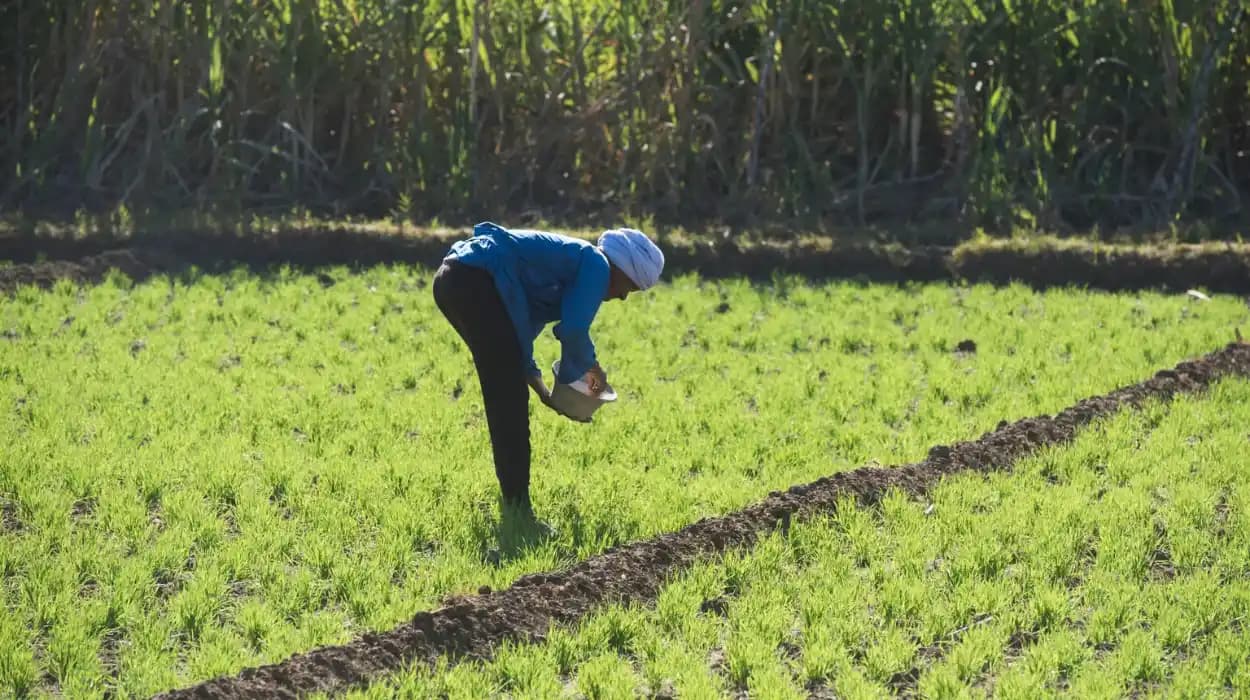 International Holding Co 41% Stake in NRTC and Farm Acquisition