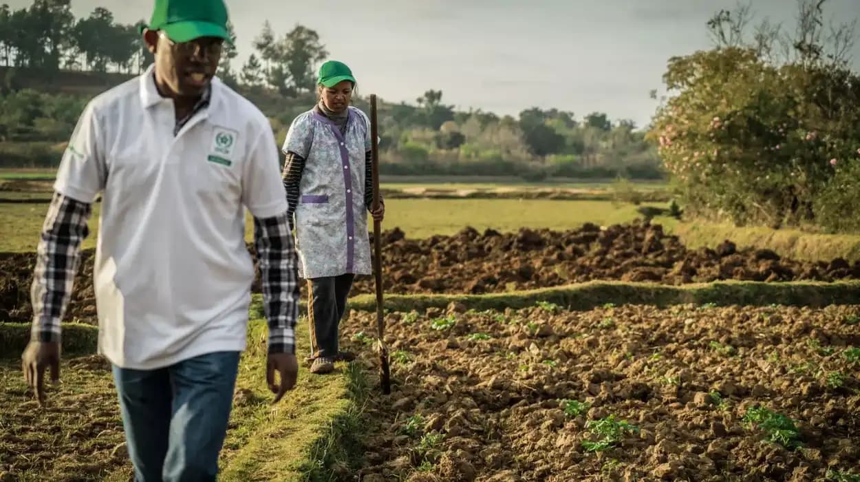 The UAE’s Land Acquisitions in Africa: Balancing Food Security and Local Displacemen